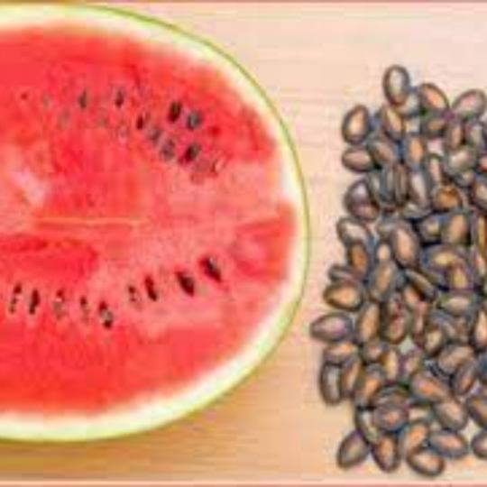 , 5 Surprising Benefits Of Watermelon Seeds