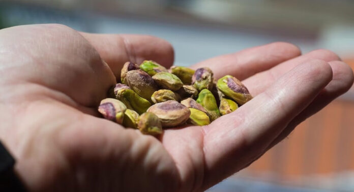 Are you facing problem while buying Pistachios, take help from our tips